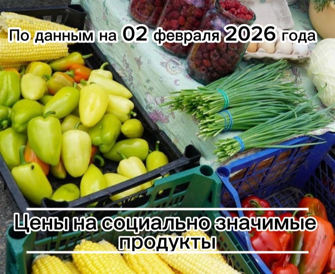 Владимир Переверзев: Где дешевле всего купить необходимые продукты в посёлке Борисовка