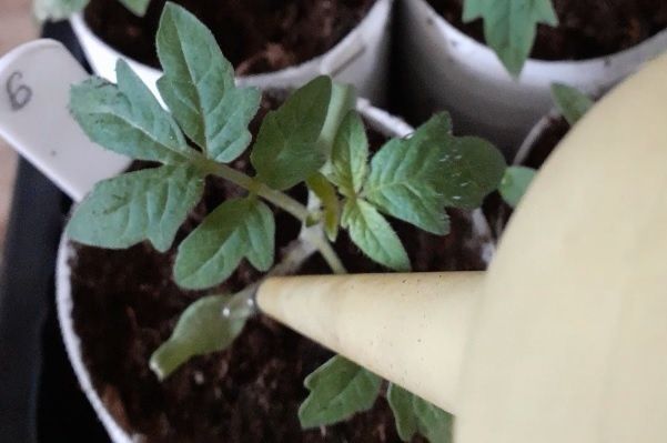 ����� � ��� �������� ����� �������: ������������ ��������� �� �����