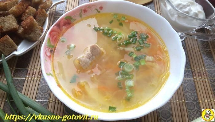 Как приготовить классические щи из квашеной капусты со свининой: пошаговый рецепт