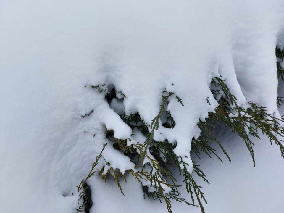 �������, 2 �������, ����� ���������� ����������