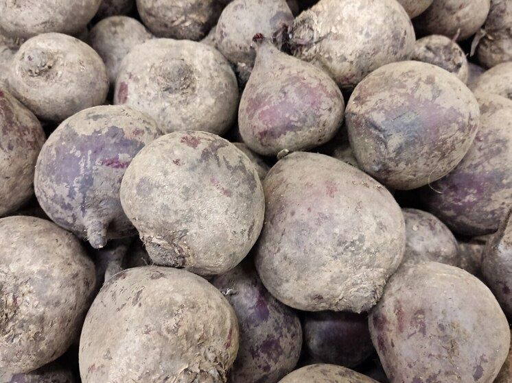 ������� ��� � ���������: ��� ������������ ������� ������