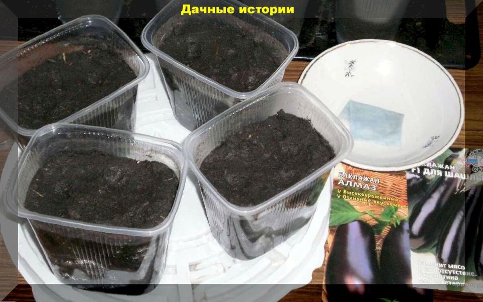 ��� ������� ������ ����� ���������� ��� ��������� ������ � ��������� ������� �������