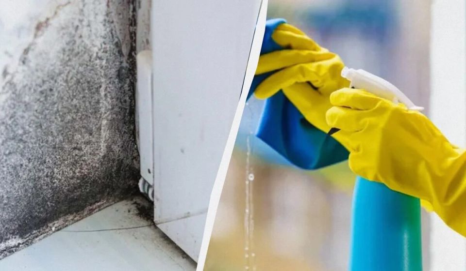 ��� ���������� �� ������ �������: ������� ���������� �������