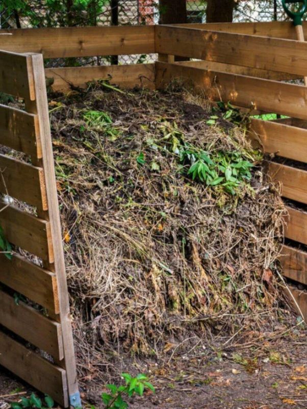 Органика после дачного сезона