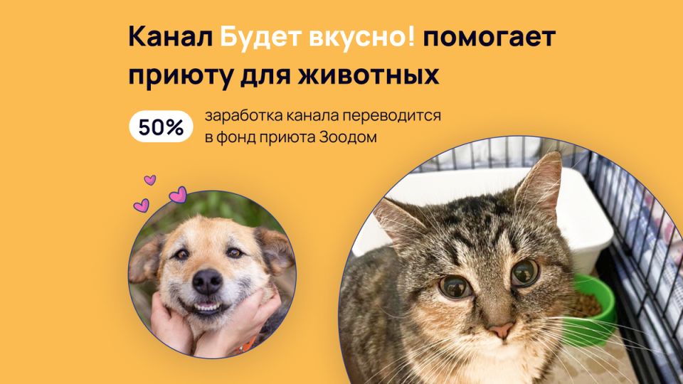 Канал поддерживает приют для животных, способствуя доброте и заботе