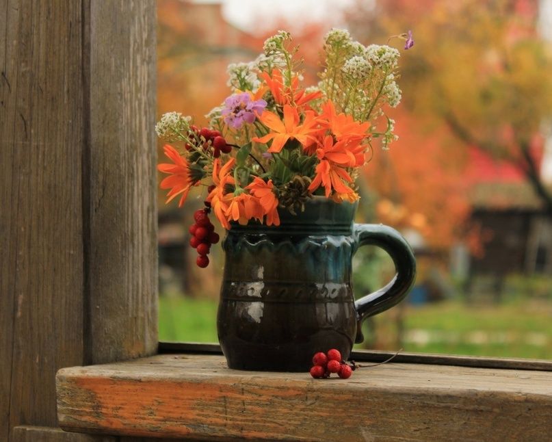 ����� �����: ��� ����������� �������� ��� ����