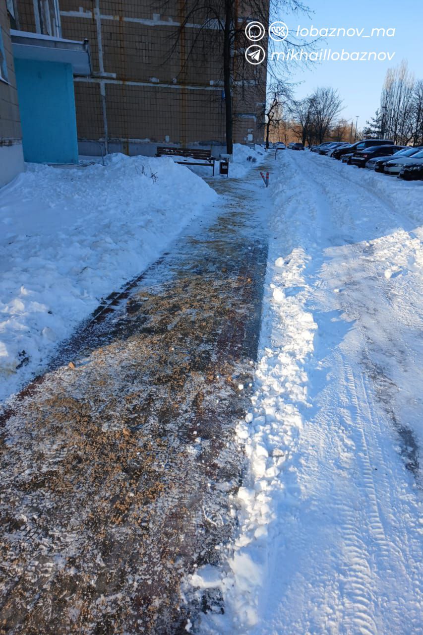 Михаил Лобазнов: Коммунальные службы округа продолжают работы по расчистке снега Михаил Лобазнов: Коммунальные службы округа продолжают работы по расчистке снега