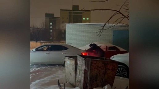 ���������� ���������-�������� ������ ������� ���� ������ �� �. ��������� �� ���������� ����� � ���, ��� ����� ������������ � ���������