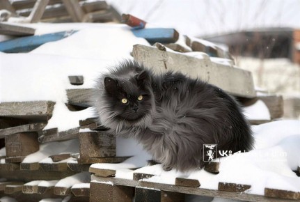 ������ ����, ��������!. �������, 3 �������, �� ����� ����� � ��������� ������