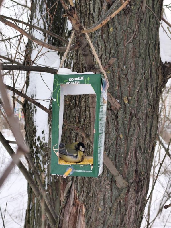 Доброе утро, белгородцы!. 3 февраля обещает быть морозным