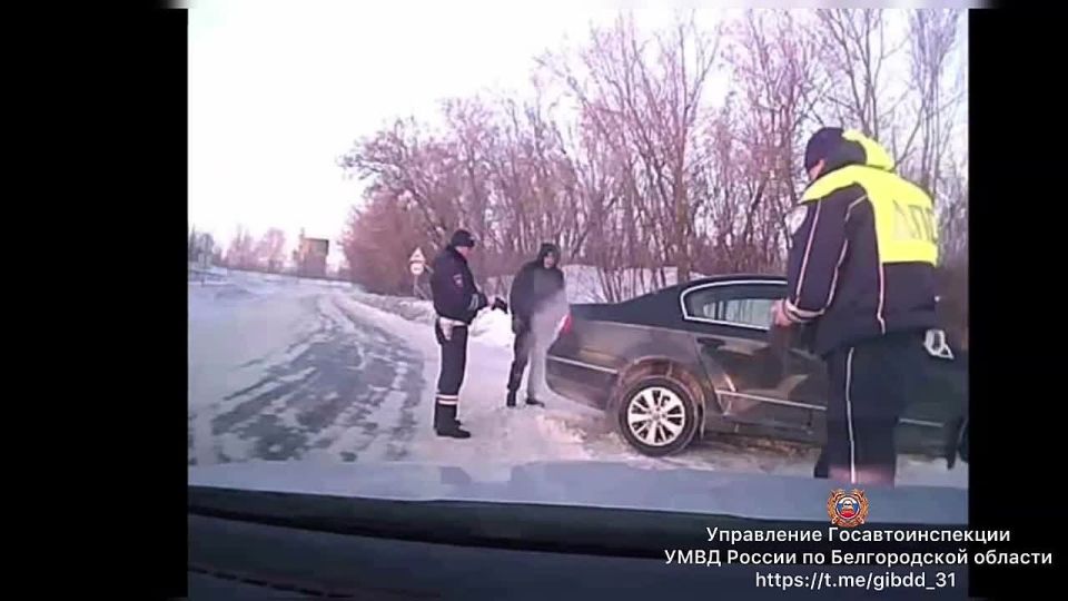 В снежный и ледовый коллапс попали белгородские автомобилисты