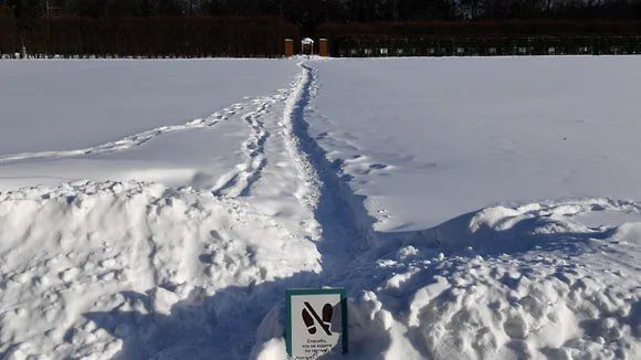 Аномальные морозы не навредили посевам озимых в Черноземье