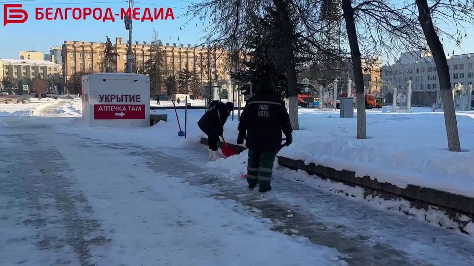 Последствия вечерней атаки ВСУ не сломили белгородцев