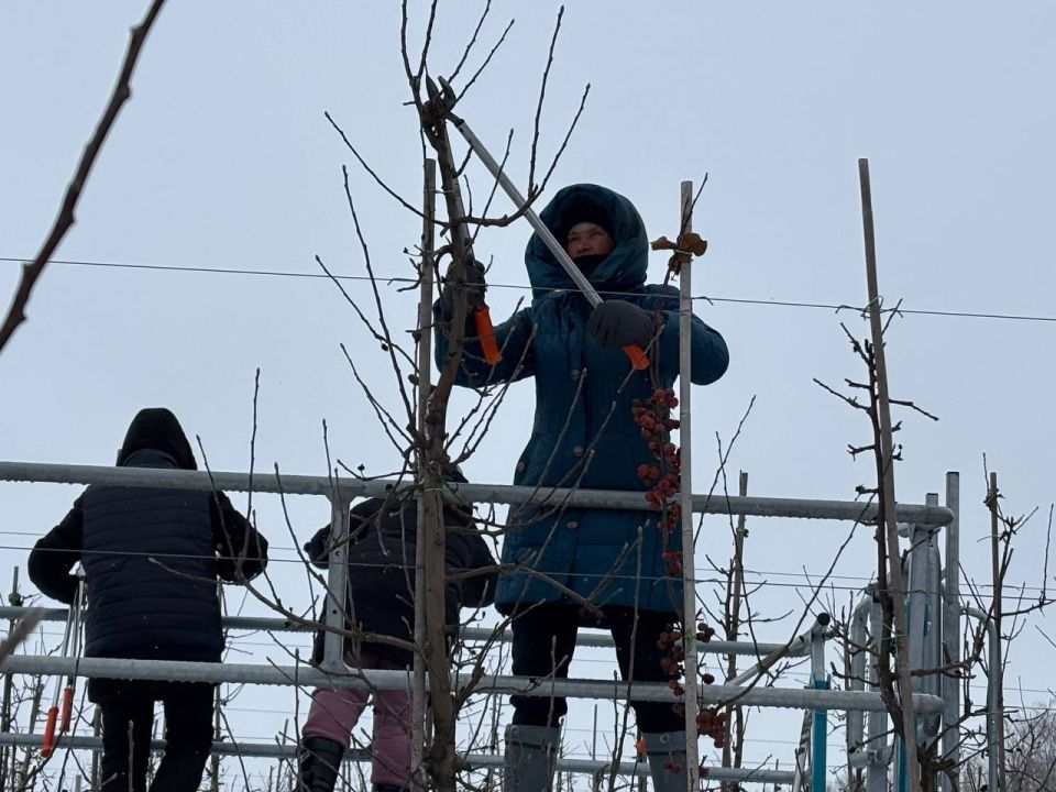 ������ �������: � ������ ������� ����� ������� ������������������ ������ ������� ��������� � ������ ������