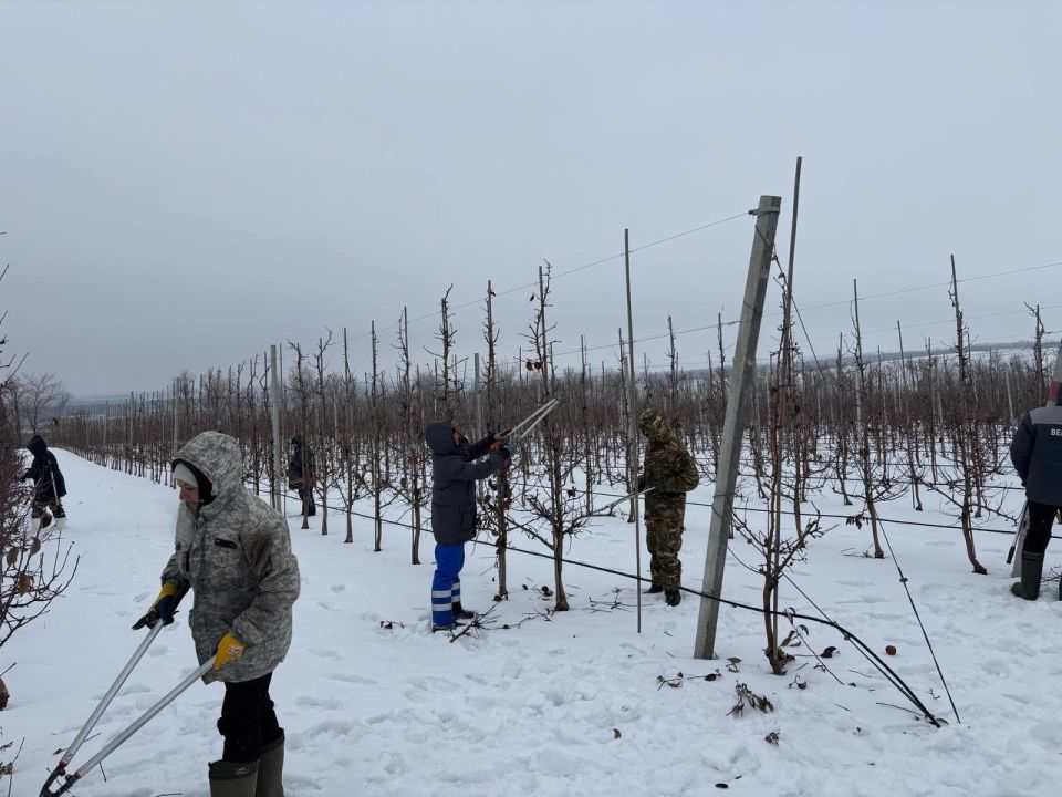 ������ �������: � ������ ������� ����� ������� ������������������ ������ ������� ��������� � ������ ������