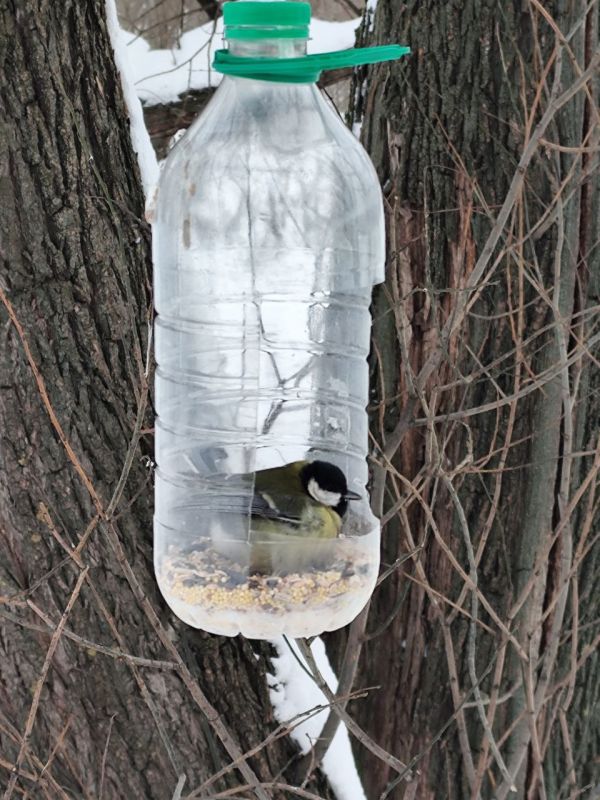 ������ ����, ����������!. ��������� �� ��������� � ���� ����� �� ��������