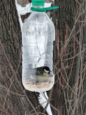 ������ ����, ����������!. ��������� �� ��������� � ���� ����� �� ��������