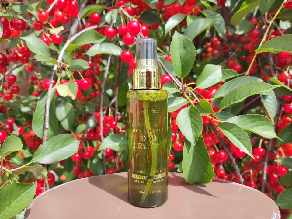 �������� ���� �� ����: ��� ������� ��������� �������