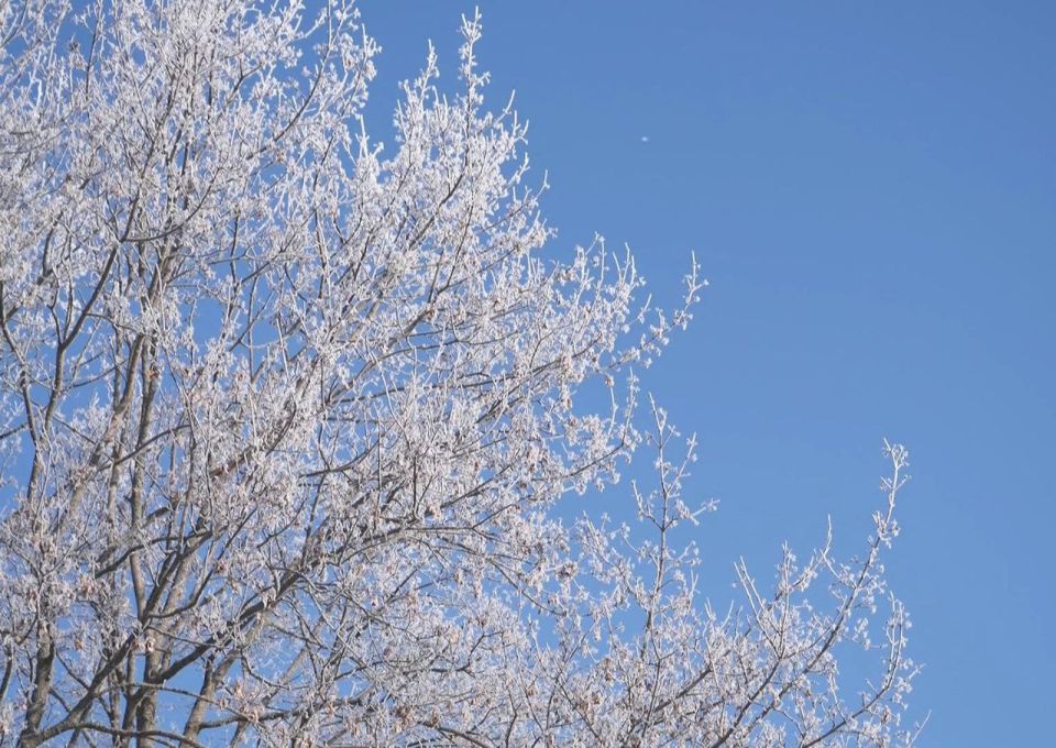 ������� ����� ��������, �� ������, ��� ���������� ���