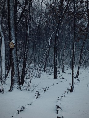 ������ ����, ����������!. ������� ����� ��������