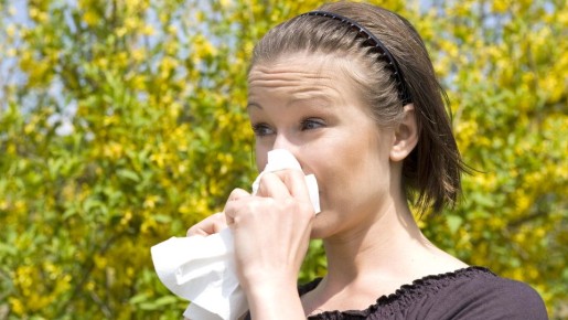 ������ �����������! ��� �������� � ���������, �������� ����-���������