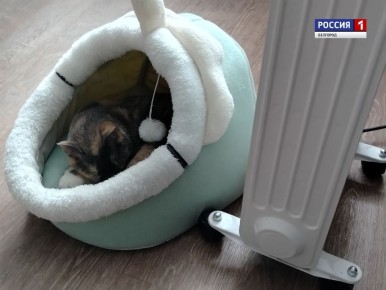 Ещё один день – почти позади