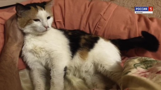 � � ���������� ����� �������� ��� � �������� � ����� ��� � �����