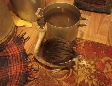 ����� ������ ������������� ������ � ���������� �������������� � ���� ��������� ������������� ������