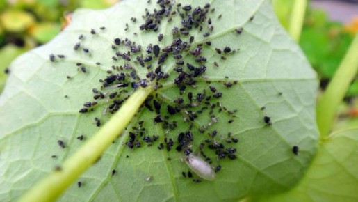 ��� ���������� ���������� � ���� � �������� ���� ������