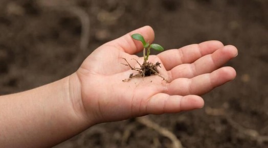 ������������ ������������ ������ ���������� �������� � ����������������� ��������