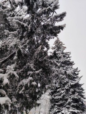 ������ ����, ����������!. �������� ���� �������� � �����