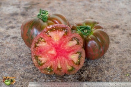 ��������� ������: �������� ������ ������� ��� ��� ����