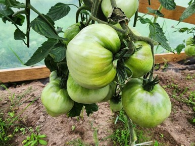 ����� ��������� ������: ������� ��������� ������� � �������