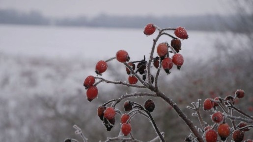 �������� � ������� � ������������ ����� �������, 12 �������