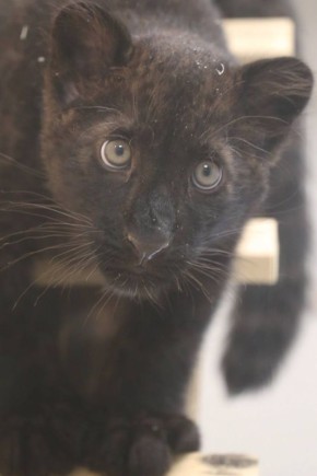 ������ ����, ����������!. � ������ ��� ������ ������ � ������������ ������� ������, ������� ������� ������! �������� ����������� ������� 0�. ������ ����� 5 �/�