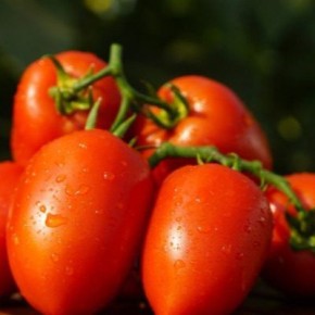 ����� �����: ���������� ���� � ��������� ���������������� � ������� ������������