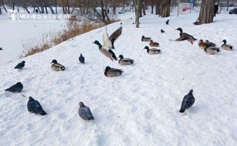 13 ������� � ��������� ����� ��������