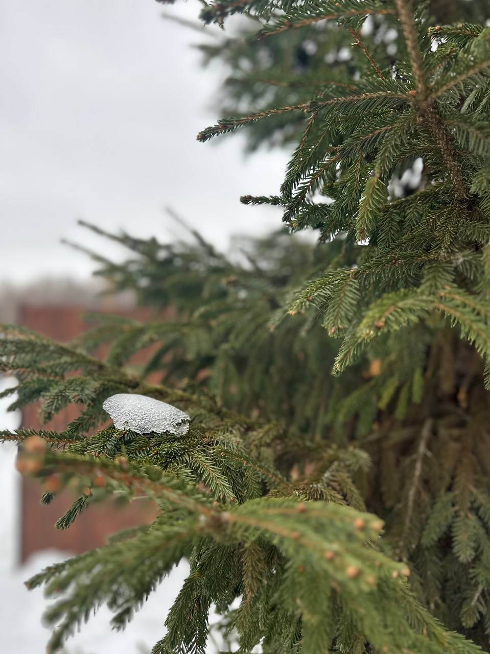 Пятница на «БелПрессе»!. А кто это к нам крадётся? Рыжий мохнатый красавец! А вместе с ним и долгожданные выходные Обещают, что они будут тёплые, а это значит, что можно выйти прогуляться одному или в приятной компании...