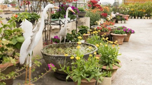 ��� �� �����: ��� ����� ������ ���� ��������� ��������