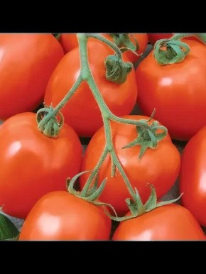 ����� ���������: ������� ����������� ������ � ������� ��������