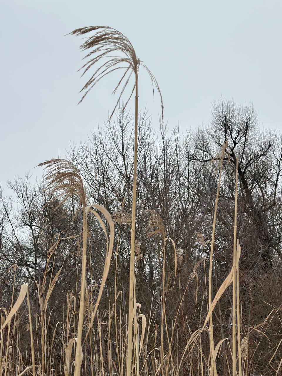 Пятница на «БелПрессе»!. А кто это к нам крадётся? Рыжий мохнатый красавец! А вместе с ним и долгожданные выходные Обещают, что они будут тёплые, а это значит, что можно выйти прогуляться одному или в приятной компании... Пятница на «БелПрессе»!. А кто это к нам крадётся? Рыжий мохнатый красавец! А вместе с ним и долгожданные выходные Обещают, что они будут тёплые, а это значит, что можно выйти прогуляться одному или в приятной компании...