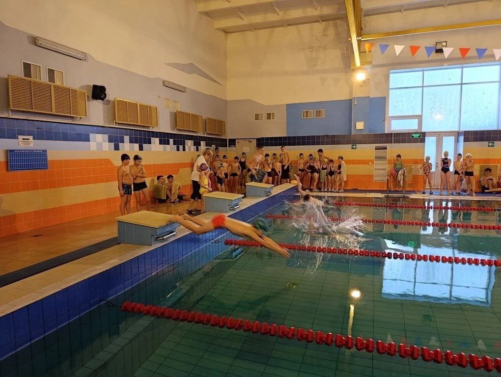 Татьяна Киричкова: Сегодня в плавательном бассейне «Дельфин» прошел Открытый турнир Ровеньского муниципального округа по плаванию «Зимняя волна 2026»