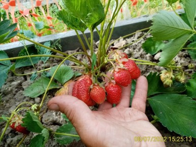 ��� ������� ���������� ����������� ������� ������� ���������: ������� ���������