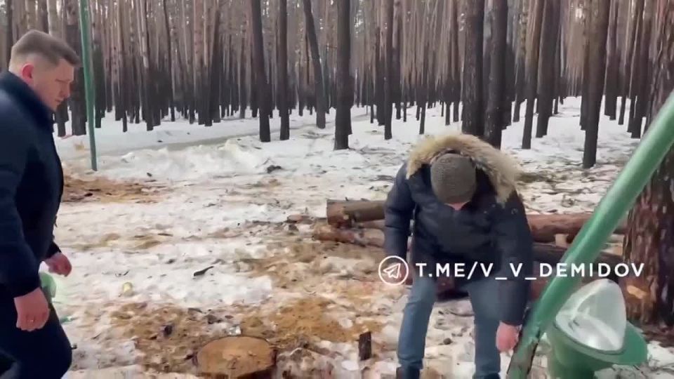 ��� ��������� ���������������� �������� � ������������ �������� � ��������