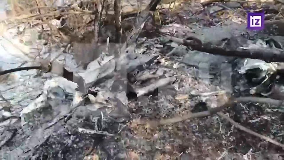 ������� ��������: ������������ ����� ���� ������� ���������� ��� ������ ��� ������� ������� � ���������� ���� �������� ������� ��������