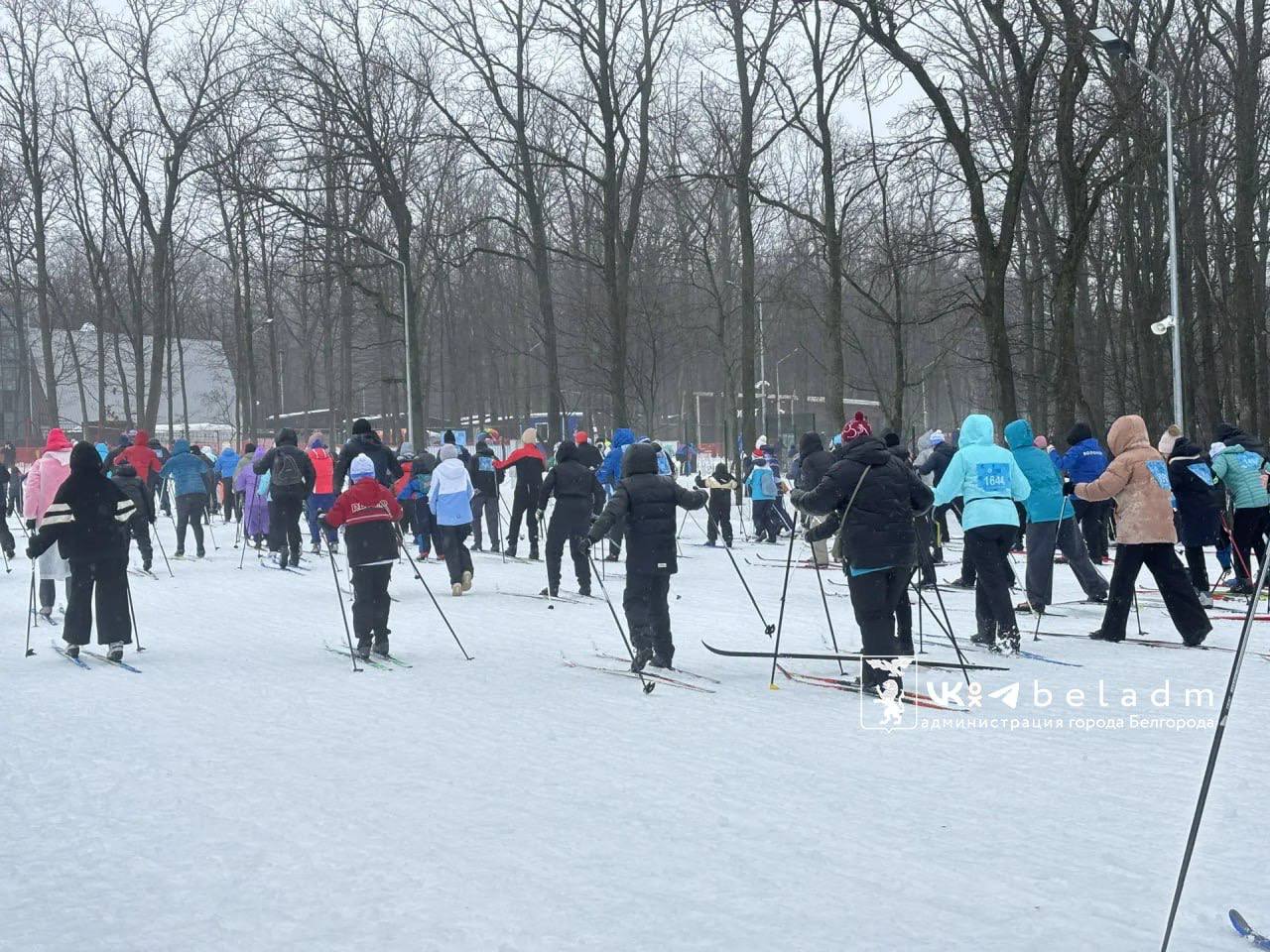 Более 1500 белгородцев объединила «Лыжня России» Более 1500 белгородцев объединила «Лыжня России»