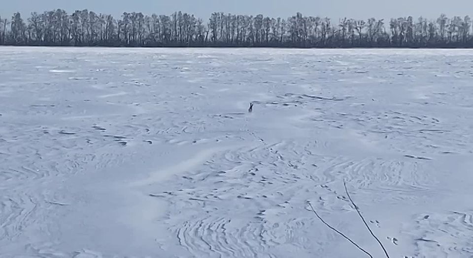 ����-����� � ����� ��������� �������� � ���, ��� ������� ����� ����������