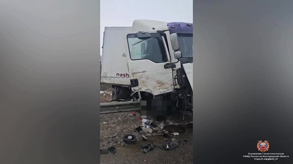 �� ������ � ������������ ������ �������� ���� ����������, ������ �� ��������� ������