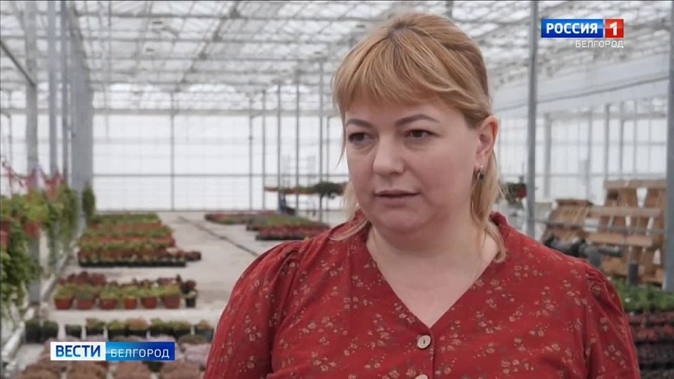 �������, �������, ������, �������������, �����, ����� � ������������ �������: ����� �������� �������� ������ � �����, � ��������� ��������� ��������� ���������� ����� 700 000 ������������ � 5 000 �������������