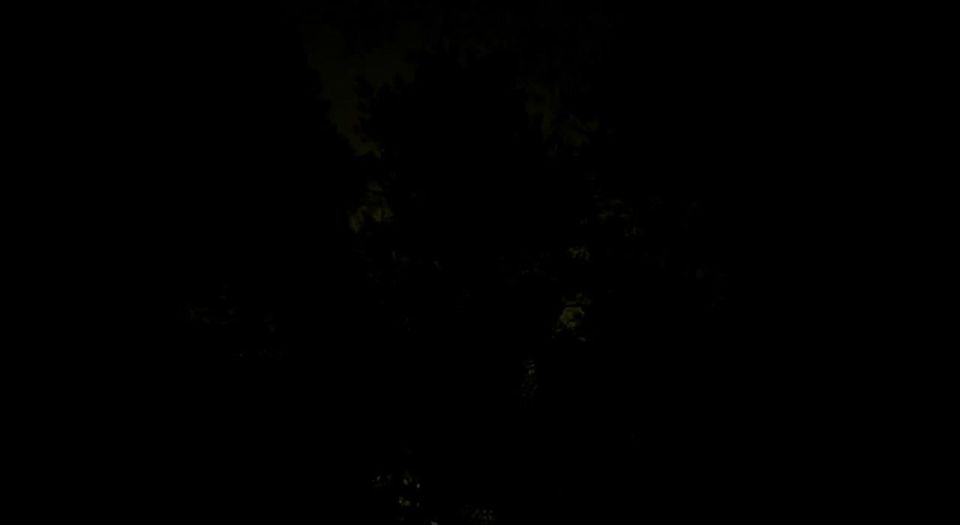 ��������� ���: �������� ��� �����. ����� ����� ��������, ������ ����� ��������